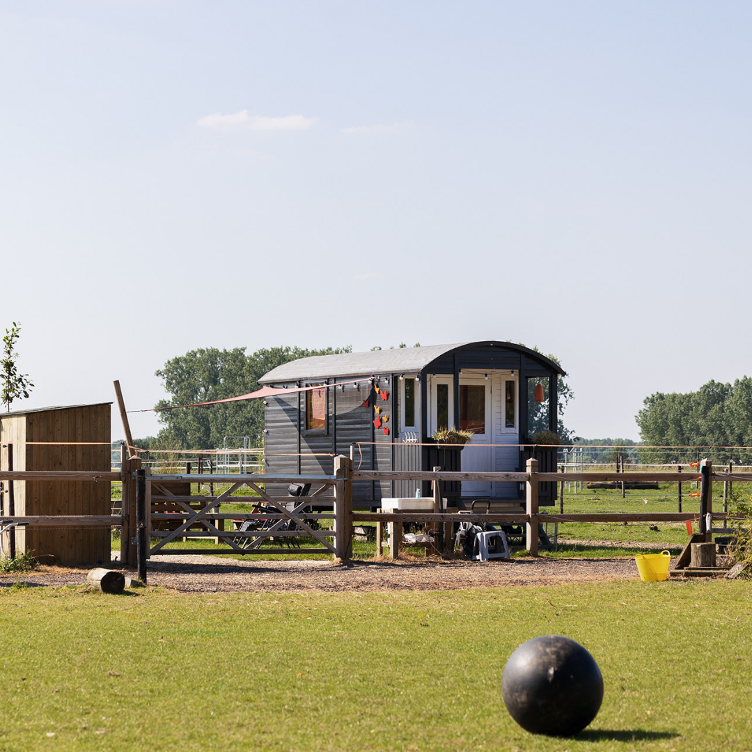 Ontwaken bij de paarden