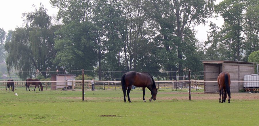 Hof van 't Rommersum Hof